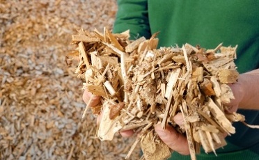 Qu'est ce que la biomasse ?
