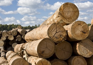 consommation de bois de chauffage - Proxi-TotalEnergies