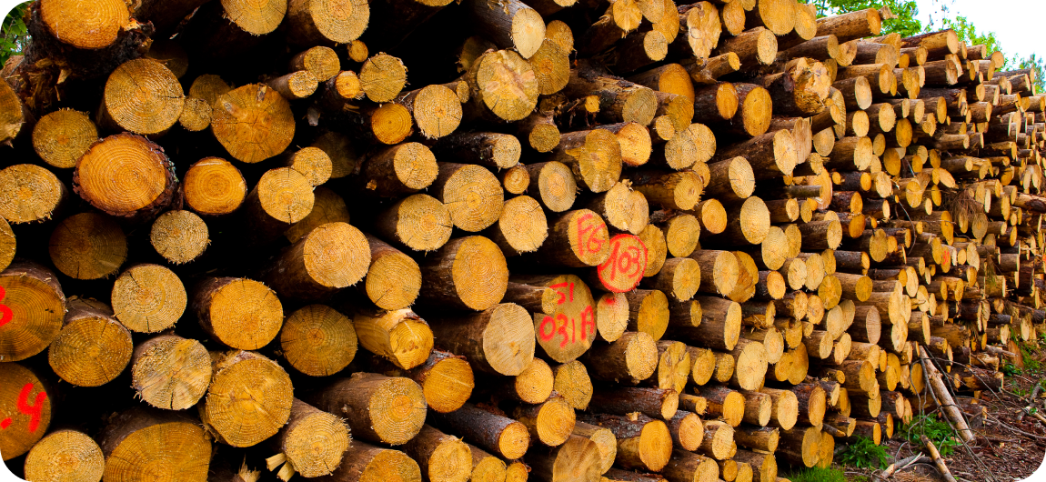 Quels sont les avantages des bûches de bois compressées ?