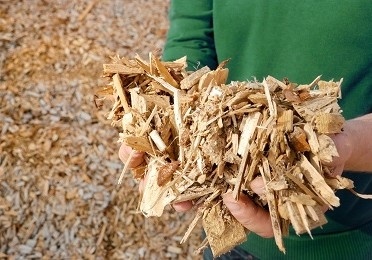 biomasse : comment ça marche ?